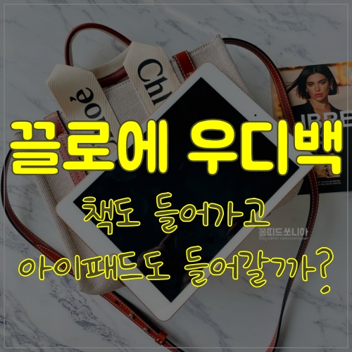 끌로에 우디백 스몰 그리고 이너백도 함께