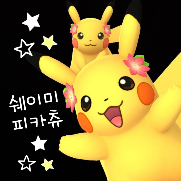  포켓몬고 쉐이미 꽃 피카츄 진화 불가 스냅샷 잡기