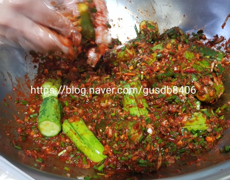 이보은 오이소박이 맛있게 담그기 이보은 오이소박이 맛있게 담그기