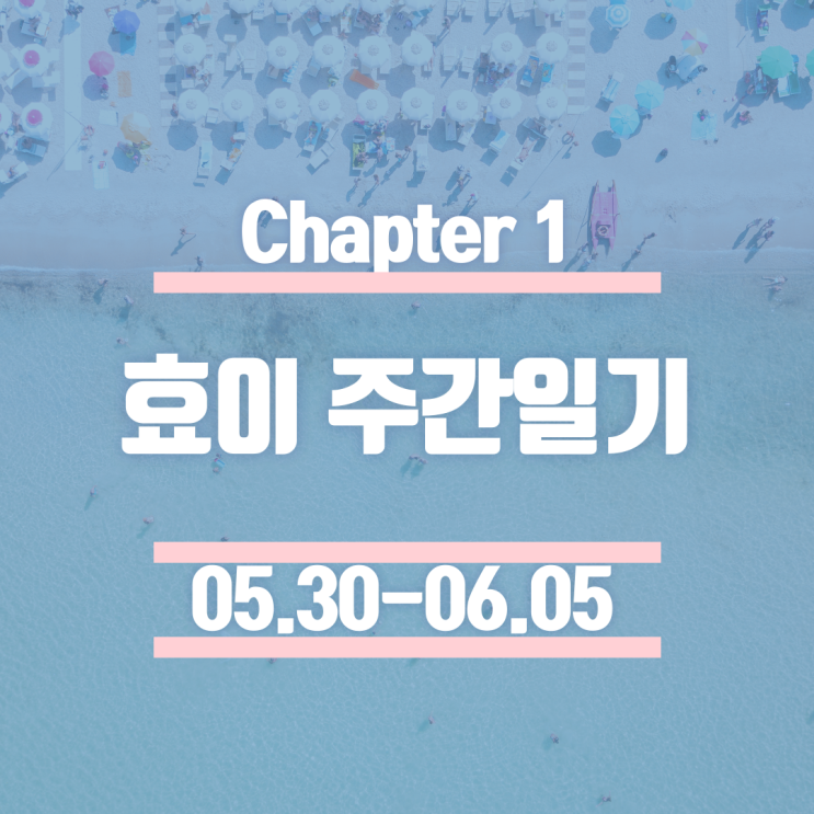  효이 주간일기 #1 - 6월 첫째주 일상