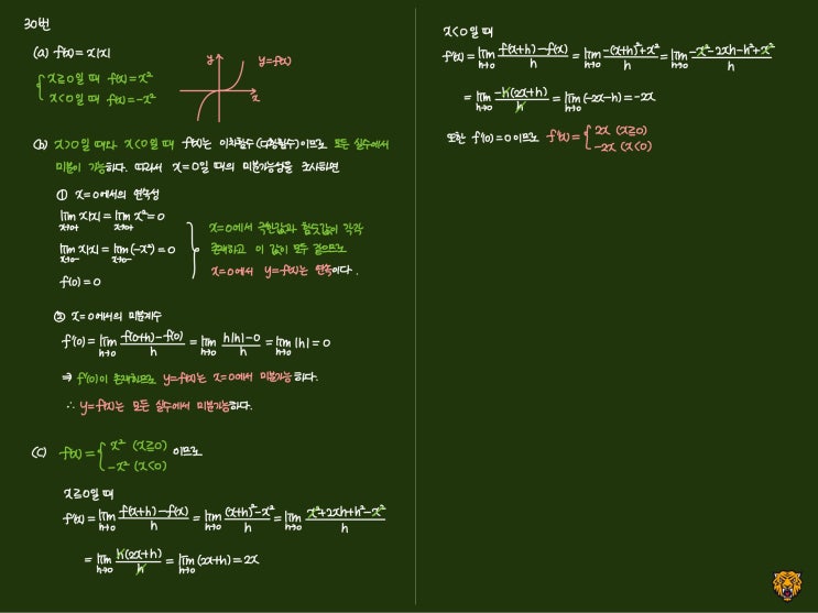 미적분학 Calculus) 미분가능성 조사하기