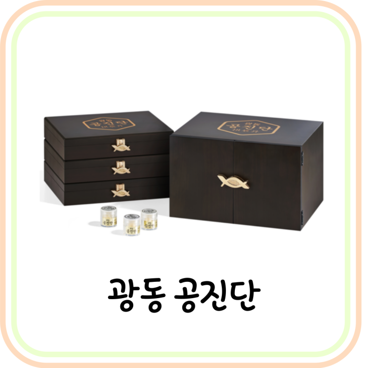  [자양강장] 광동 공진단 가격/효능/먹는 법 총정리