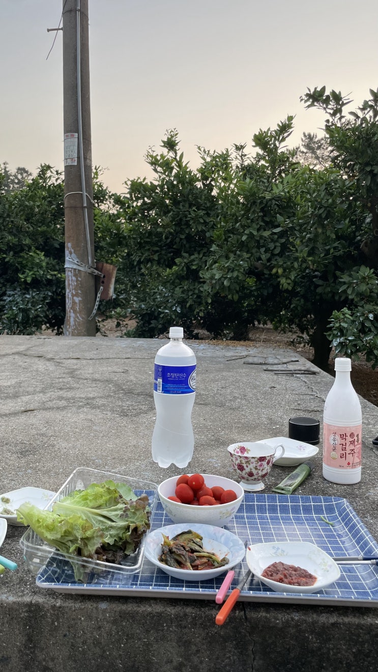  제주 | 220602 - 220605