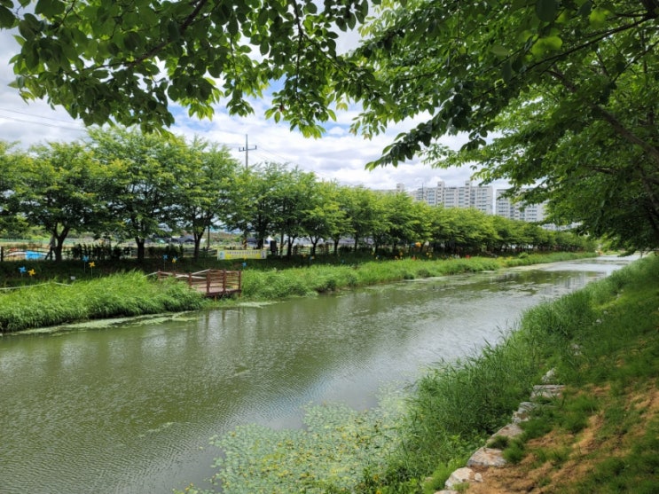  산책 그리고 강남역 약속