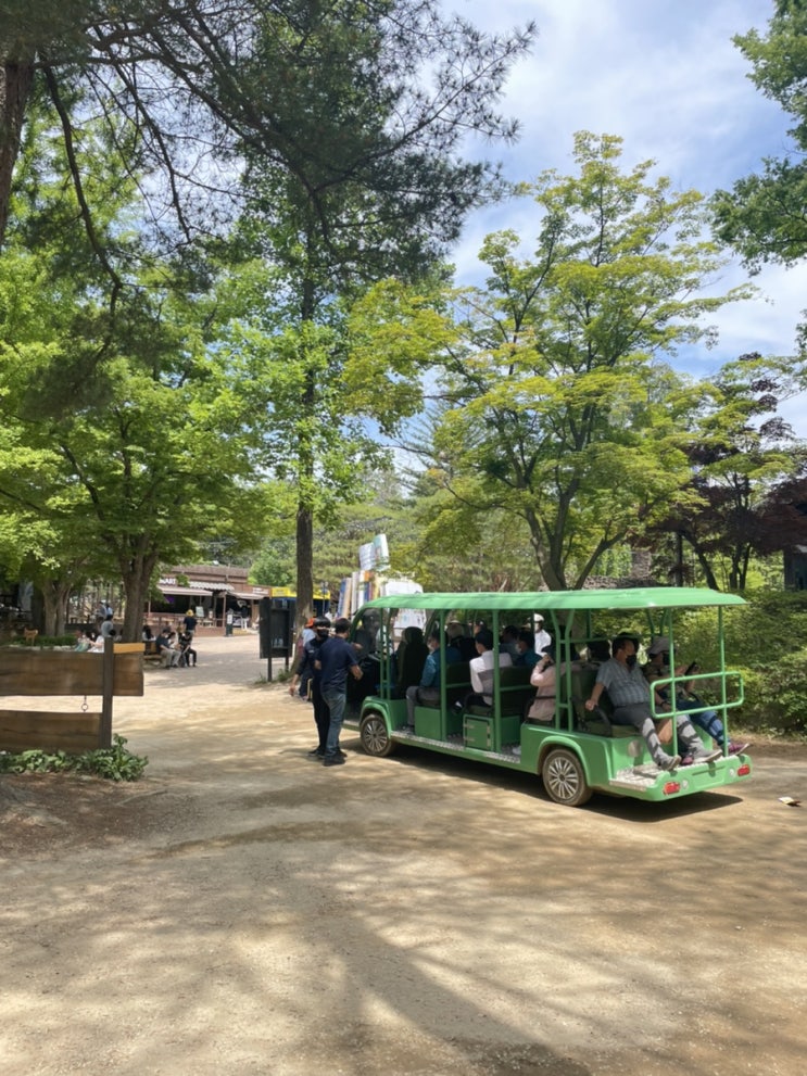  죽기 전에 꼭 가봐야 할 곳 국내여행지 남이섬
