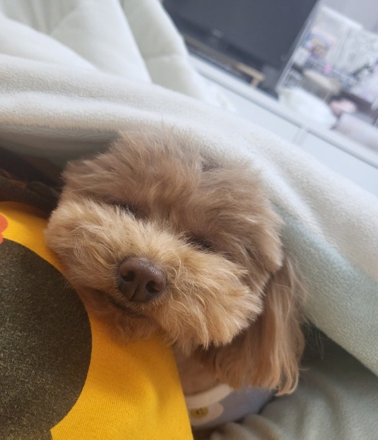  블챌 주간일기 1주차