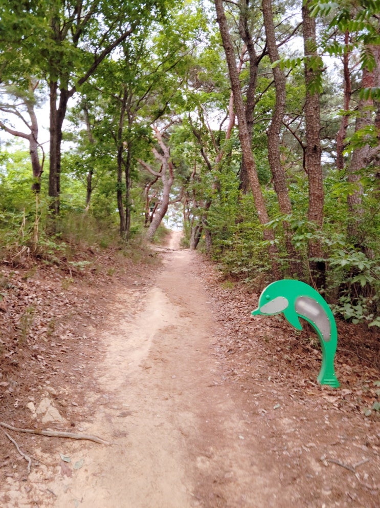  220604 해파랑길 6코스