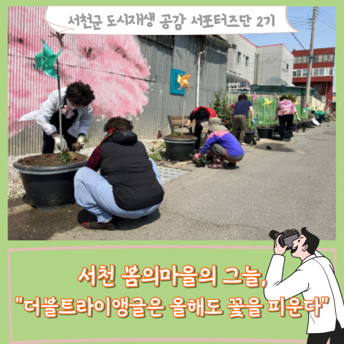  [서포터즈]서천 봄의마을의 그늘, "더블트라이앵글은 올해도 꽃을 피운다."