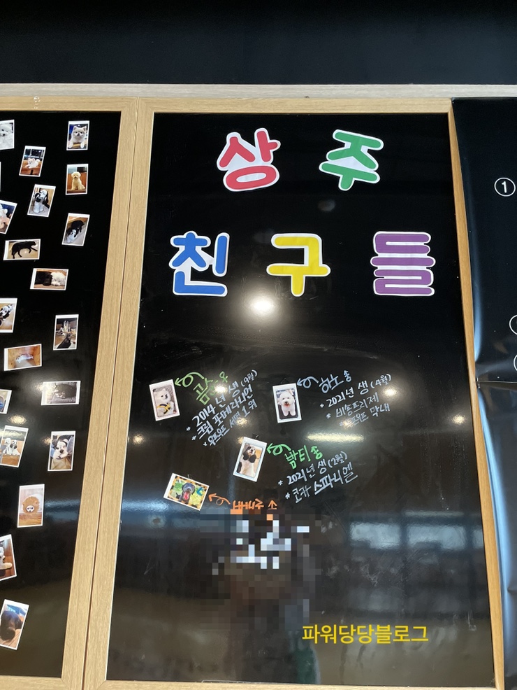 풍자애견카페/우프우프후기/영종도애견카페