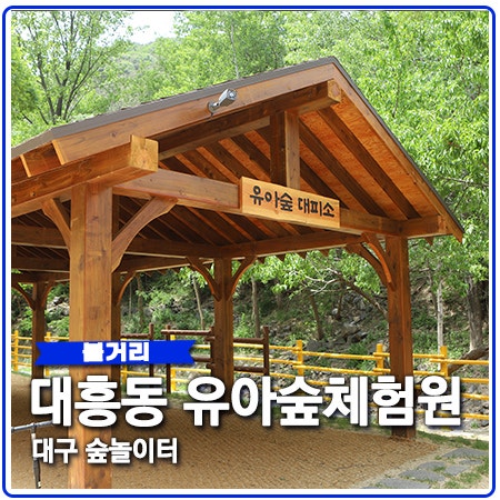 대흥동 유아숲체험원 이용안내 대구 숲놀이터 대흥동 유아숲체험원 이용안내 대구 숲놀이터
