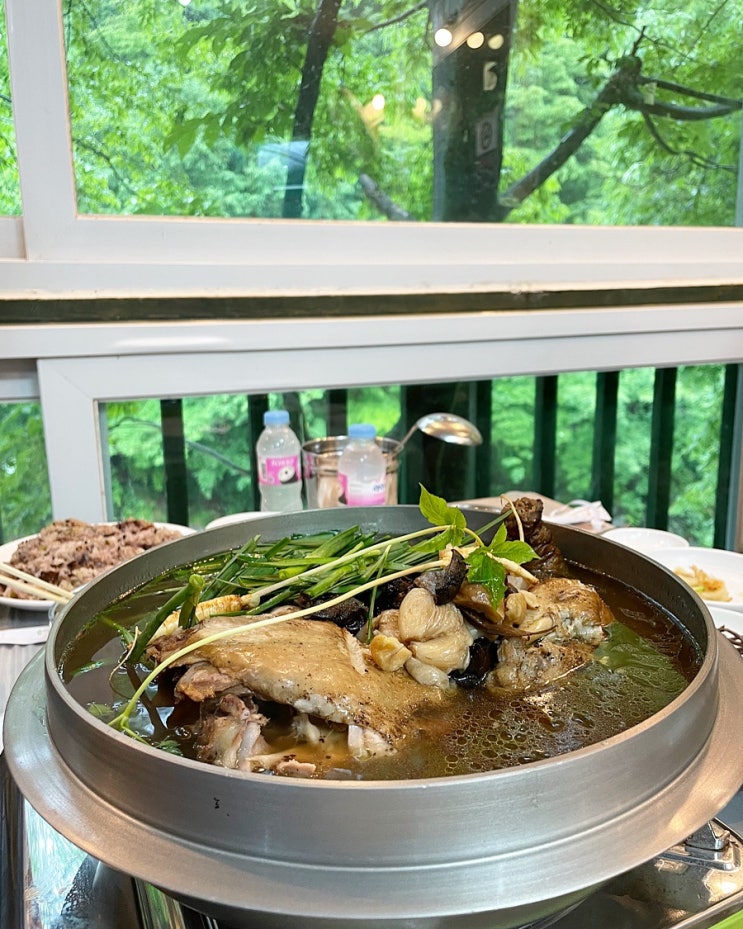  지리산 함양 마천 옛고을가든 - 천왕봉 백무동계곡 펜션 계곡평상 숙소 식당 능이백숙 맛집