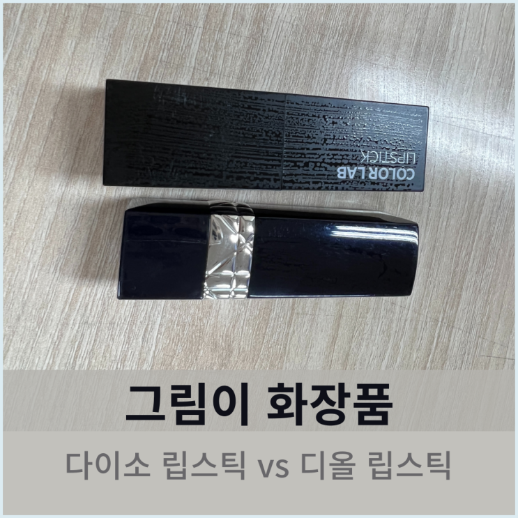  다이소 닥터지오 립스틱 vs 디올 립스틱 비교