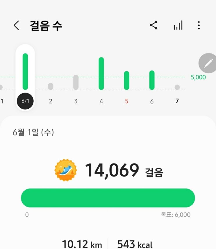  매일 걷기 기록 5천보 넘기