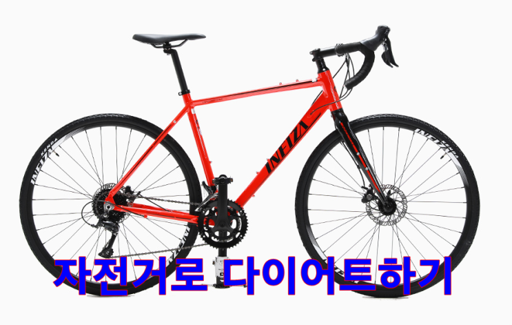  자전거로 다이어트하는 일기(feat. 다이어트 식단)