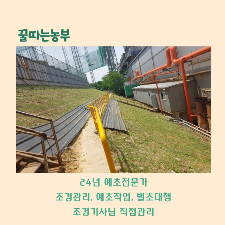 [대구기업 예초작업] 대구 국가산단 잡초제거 예초작업하였어요