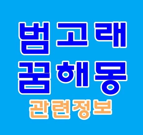 범고래꿈 해몽 범고래 태몽 나오는 꿈 잡는 꿈 타는 꿈 보는 꿈 등