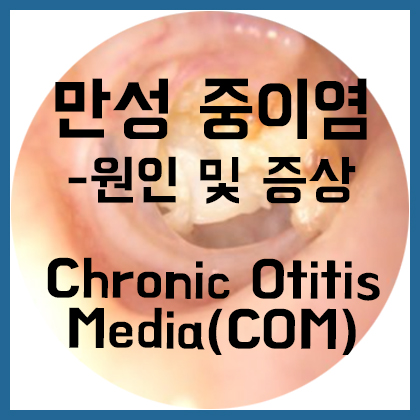  [귀] 만성 중이염-원인 및 증상