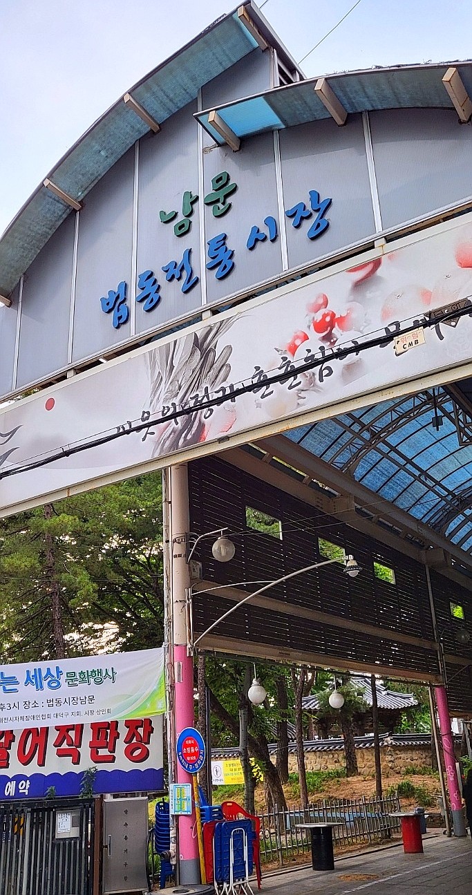  왕바다 횟집(대전 법동전통시장)다녀 왔어요.