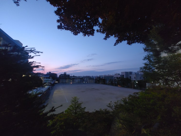 잡설 18. 220519~ 220602 전국동시지방선거 아르바이트
