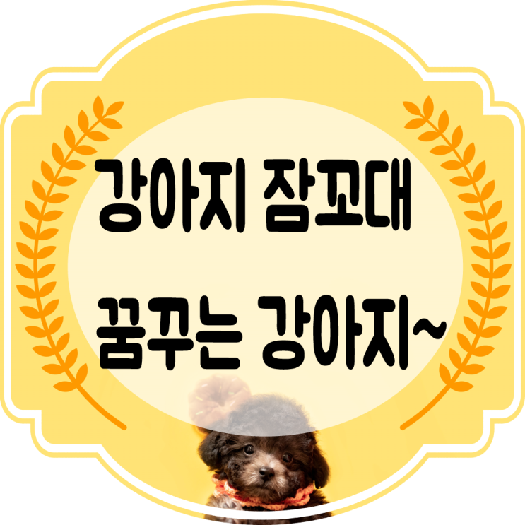  강아지잠꼬대  꿈꾸는강아지~!