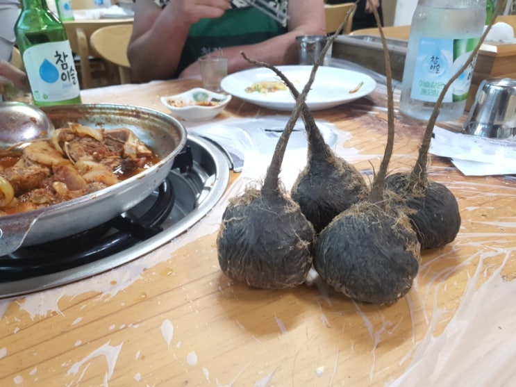 아짐은 디졌네 아짐은 디졌네