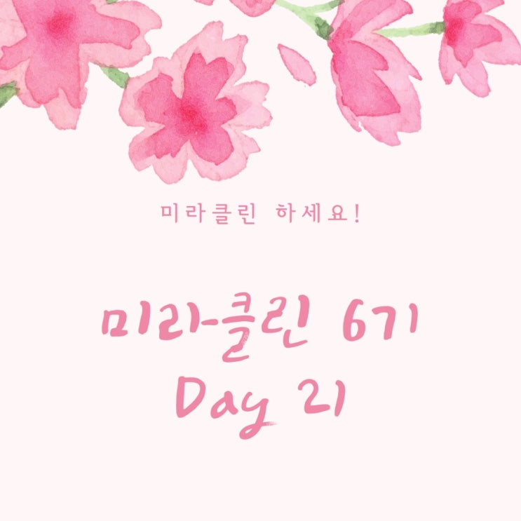  [미라클린]21일차: 잘 해내서 기특한 나자신