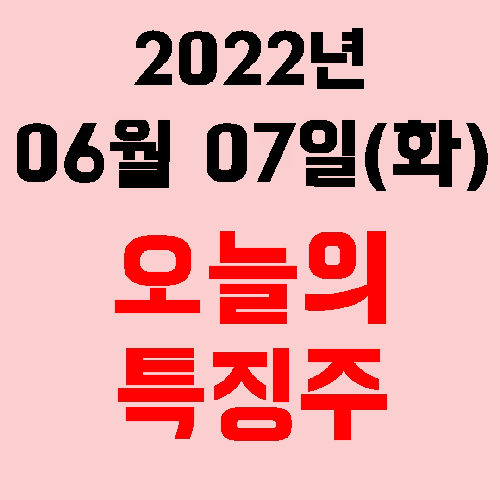  오늘의 시장 특징주 2022년 06월 07일(화)