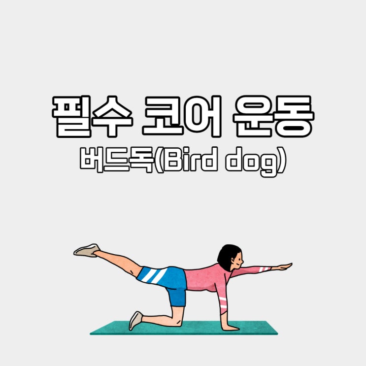  허리디스크 시퀀스에 넣을 코어 운동은 버드독!