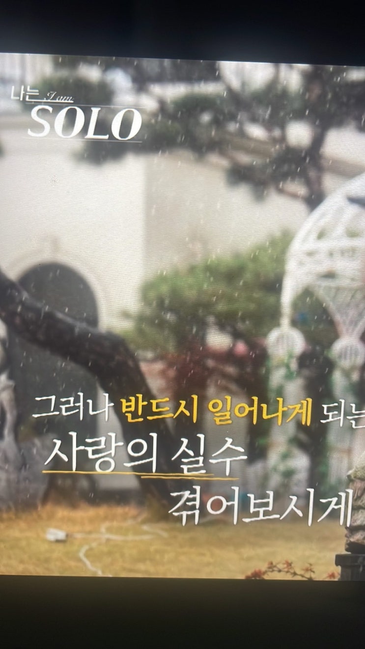  연애 예능