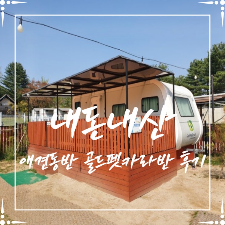 내돈내산] 서울근교 애견동반 용인 골드펫리조트 카라반 후기