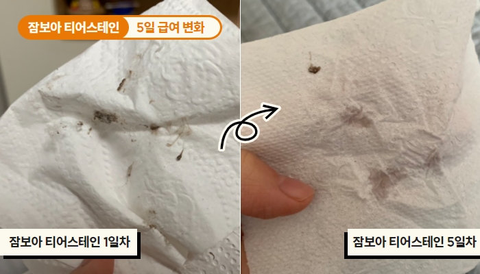 꼬리꼬리 강아지 눈물 냄새 잡는 비법? 저만 따라오세요!