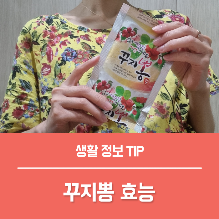  구찌뽕 효능 나무 꾸지뽕 잎 열매 뿌리 효능 5가지