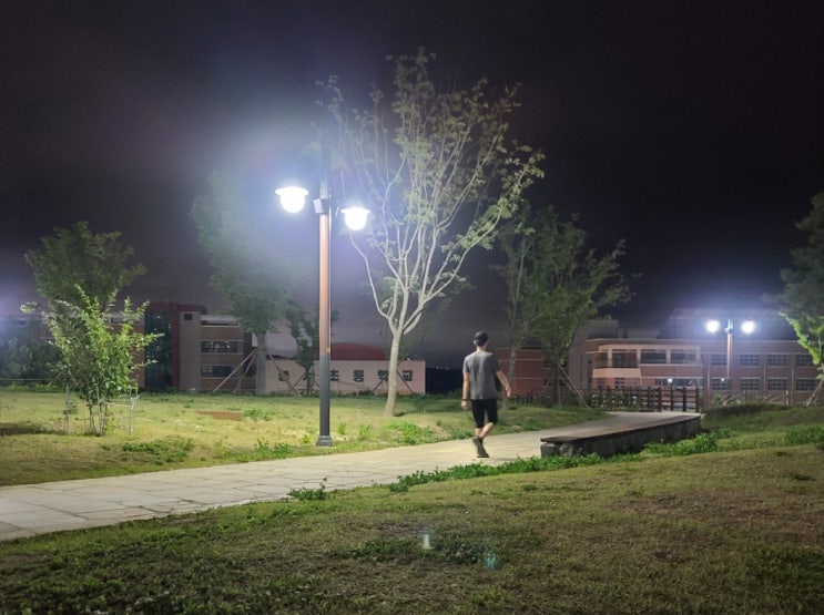  6월 1주차 주간일기 / 건강을 위한 저녁 걷기 운동 시작.