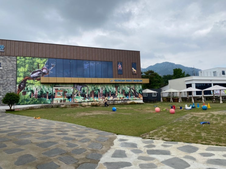  전남 영암, 곤충박물관