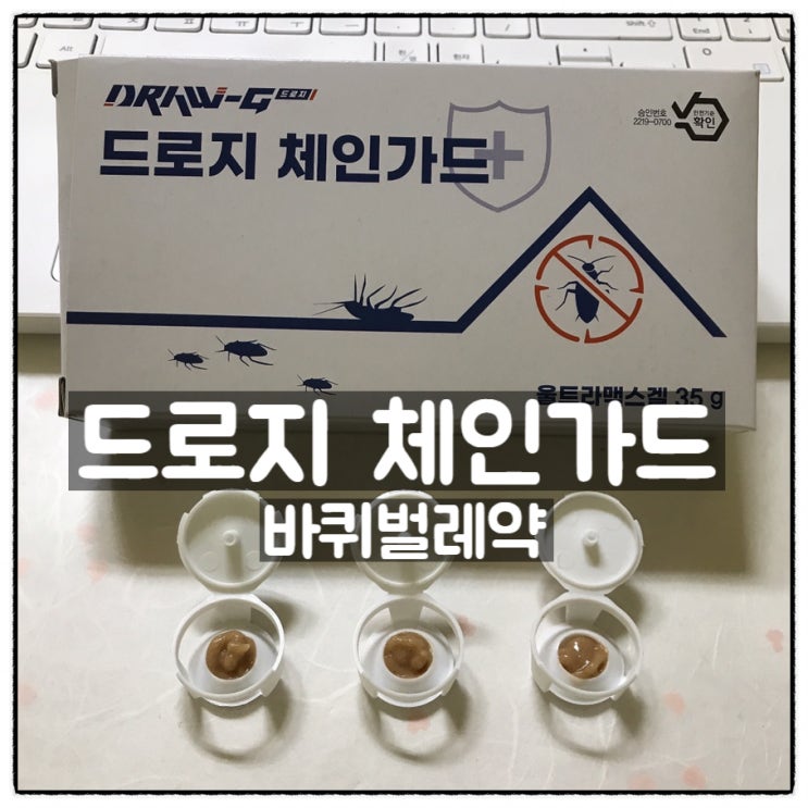  드로지 체인가드 바퀴벌레 연쇄살충 바퀴벌레약 사용 후기
