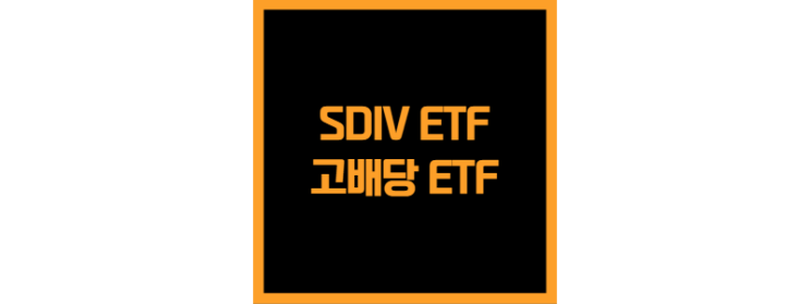  전 세계 배당주 기업에 투자하는 SDIV ETF(월, 고배당)