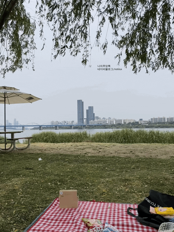  주간일기 X 6월1주 :: 