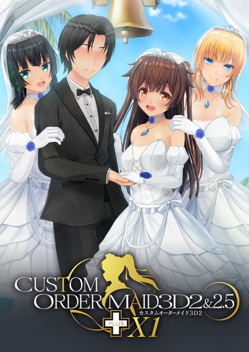  [220527]カスタムオーダーメイド3D2＆2.5＋X1