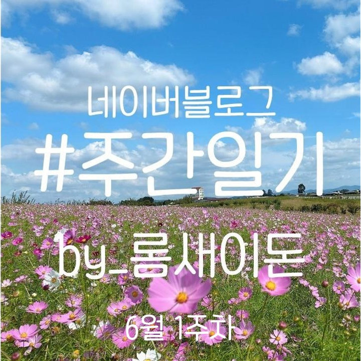 22.06.11 주간일기