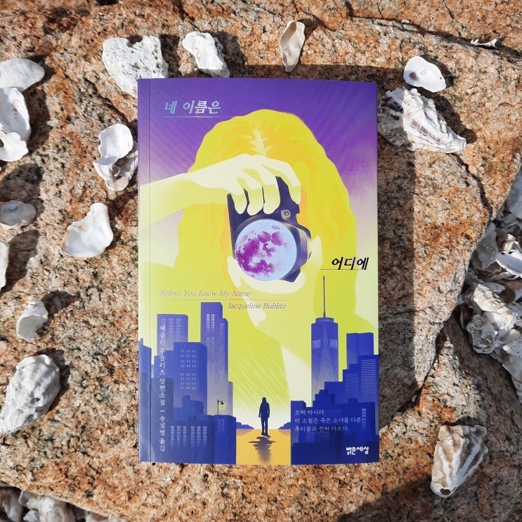  네 이름은 어디에 : 집으로 돌아오지 못한 모든 여성들을 대변하는 소설