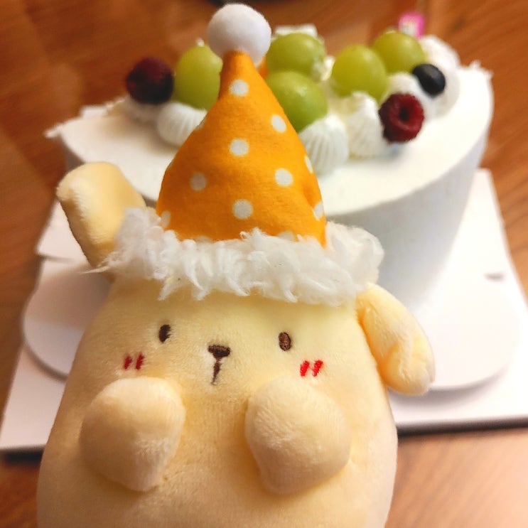 구리 과실원 주문제작케이크로 고모 생일축하가족파티하기 구리 과실원 주문제작케이크로 고모 생일축하가족파티하기