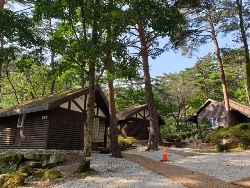 국립 자연 휴양림 예약방법. 주말과 성수기 추첨, 주중 선착순 예약. 2023년 성수기 추첨 안내 : 네이버 블로그 국립 자연 휴양림 예약방법. 주말과 성수기 추첨, 주중 선착순 예약. 2023년 성수기 추첨 안내 : 네이버 블로그