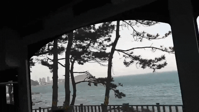  [부산] 블루라인파크 해운대 해변열차