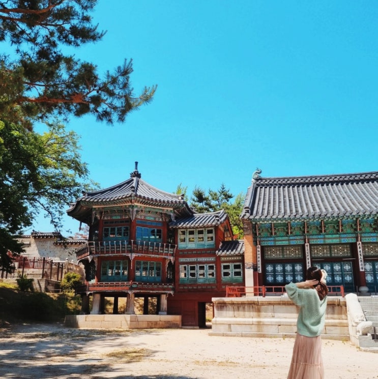  종로 놀거리 경복궁 향원정 서울 궁궐 명소 구경 & 안국역 한옥뷰 카페 합