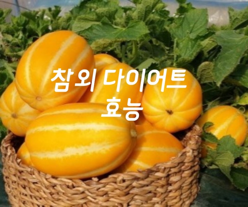 참외 다이어트 칼로리 효능 : 네이버 블로그