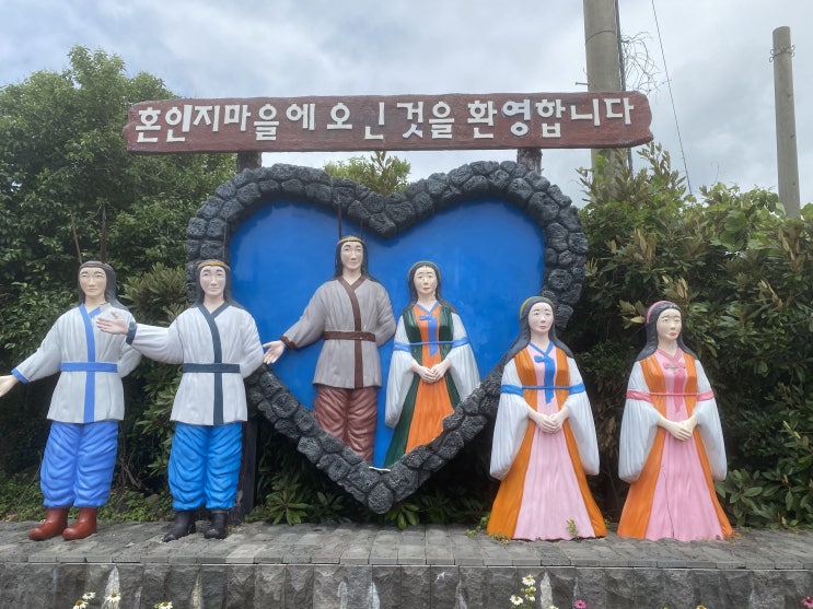 제주도 수국명소 혼인지