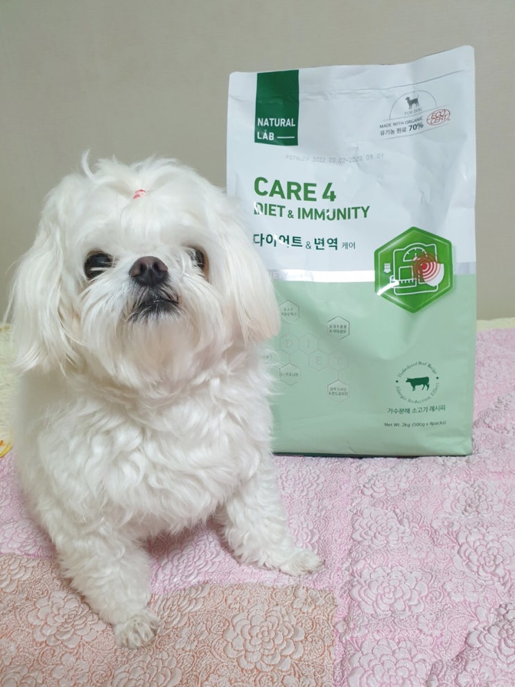  강아지다이어트사료 네츄럴랩 가수분해사료 기호성 좋아요