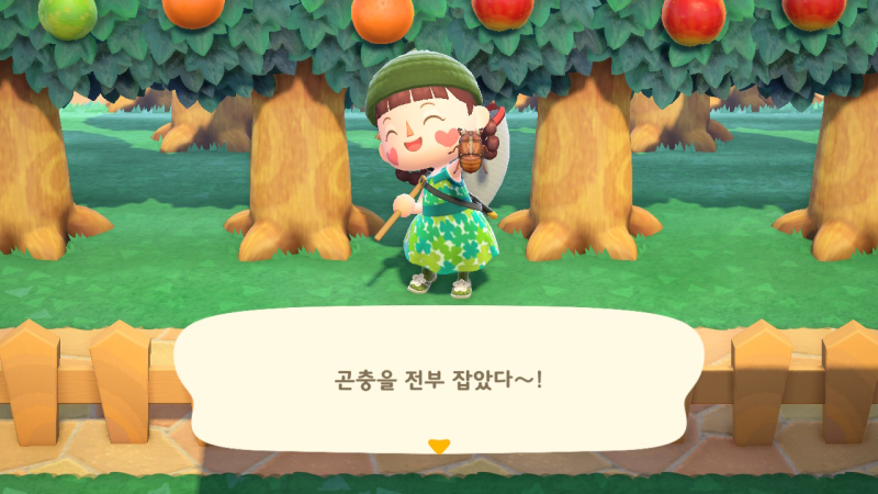 [동물의 숲] 모동숲 곤충도감 완작 / 금잠자리채 얻는법