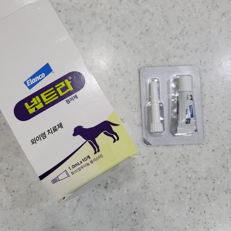 샤페이 강아지 만성 외이도염(귓병)