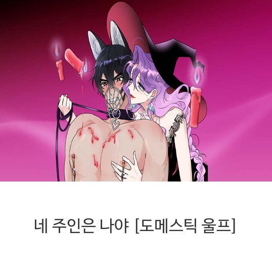  웹툰 네 주인은 나야 [도메스틱 울프]